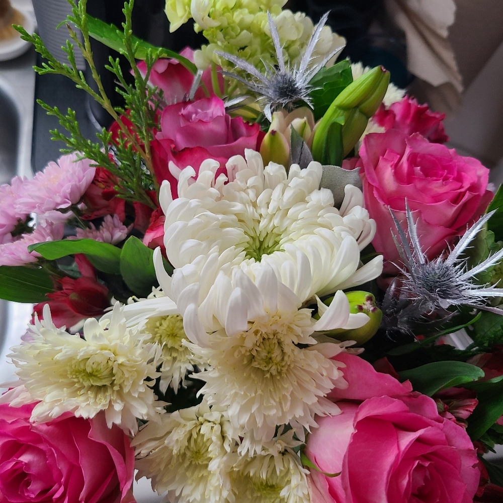 Meet your Posher, Posh